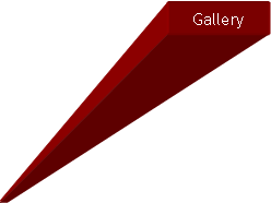 Text Box: Gallery