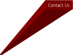 Text Box: Contact Us